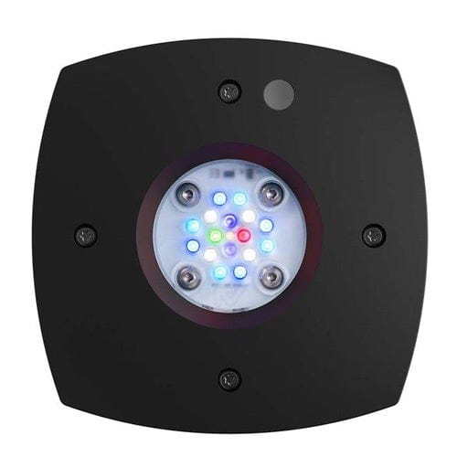 Aqua Illumination Prime 16 HD Black - Aquaristic Online