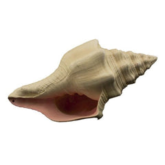 Bioscape Ornament - Murex Shell (BIS323)