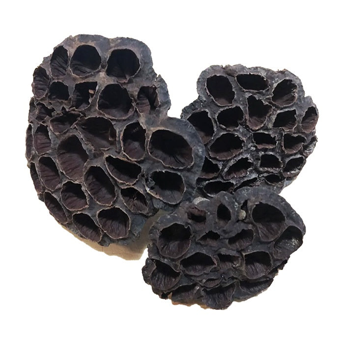 Botanicals Lotus Seed