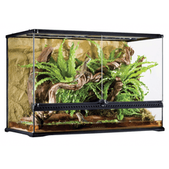 Exo Terra Terrarium Large Tall