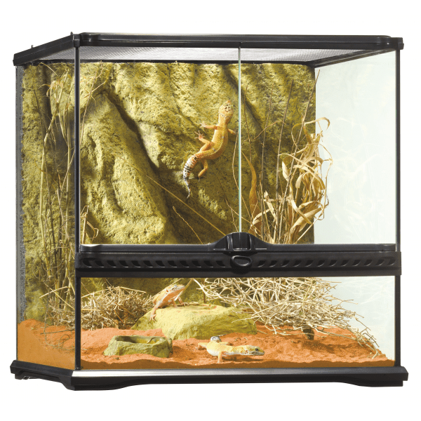 Exo Terra Terrarium Medium Low