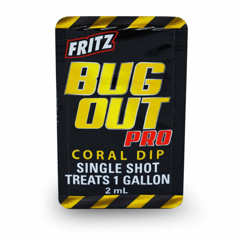 Fritz Bug Out Coral Dip