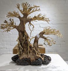 Golden Tree Bonsai Wood 30 x 30cm