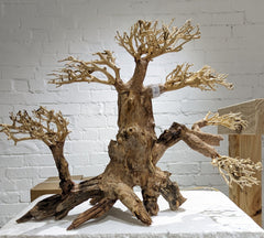 Golden Tree Bonsai Wood 45 x 30cm