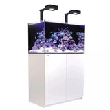 Red Sea Reefer G2+ Max 250 - White