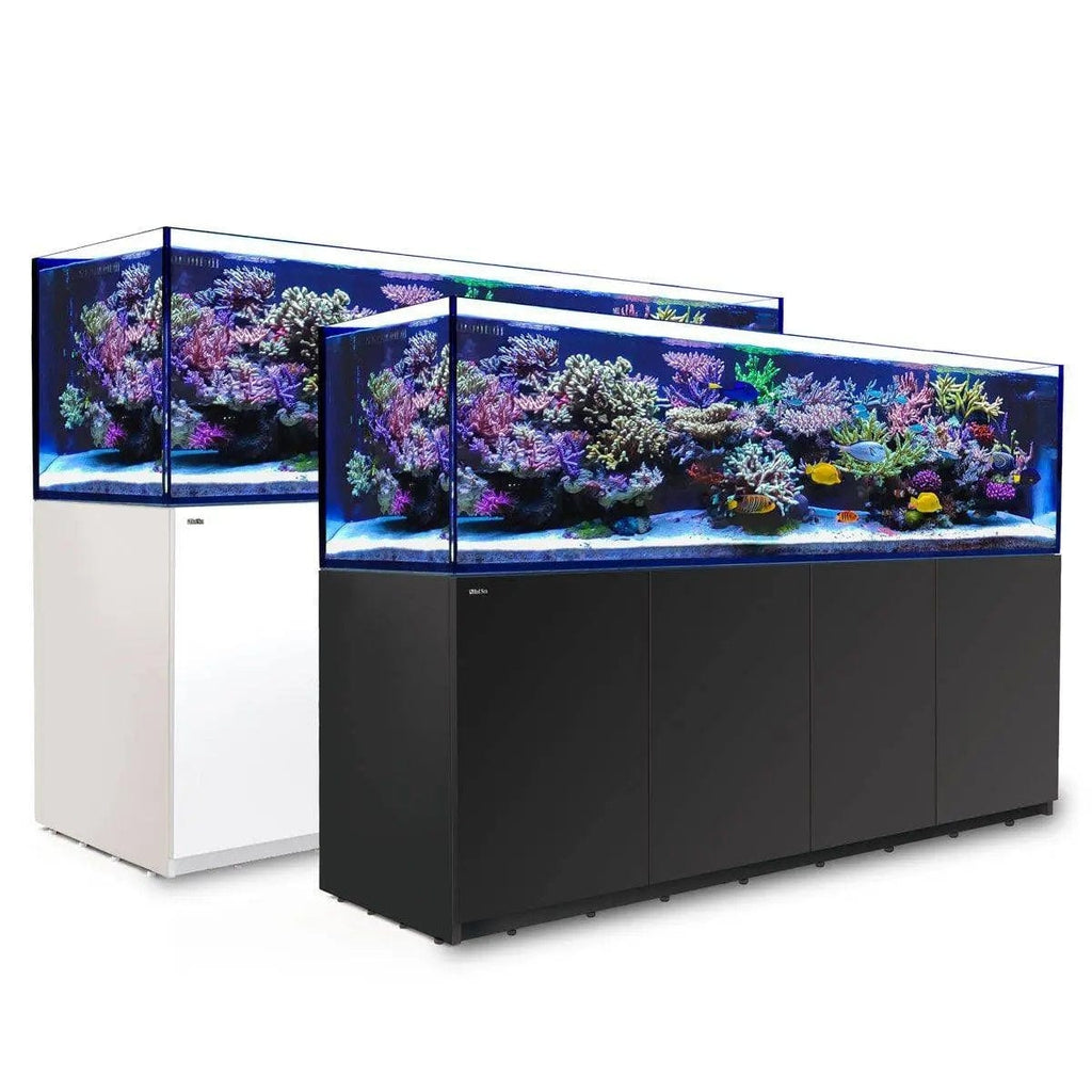 Red Sea Reefer G2+Max 900 Black