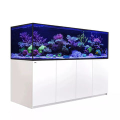 Red Sea Reefer G2+Max S-1000 White