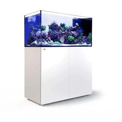 Red Sea Reefer Peninsula G2+ 500  Max White