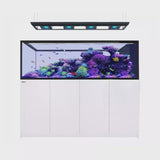 Red Sea Reefer Peninsula G2+Deluxe S-950 White